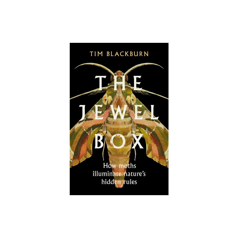 The Jewel Box (häftad, english) Orion