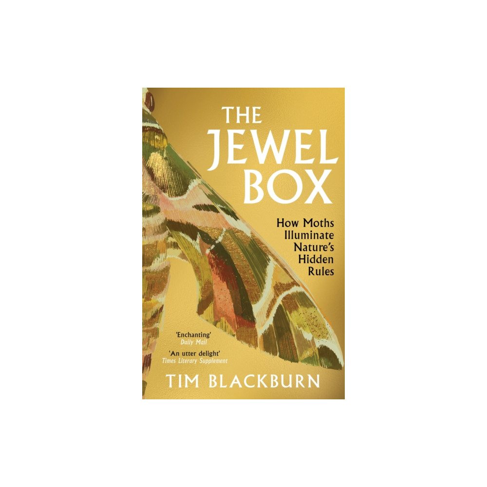 The Jewel Box (häftad, english) Orion Publishing Co