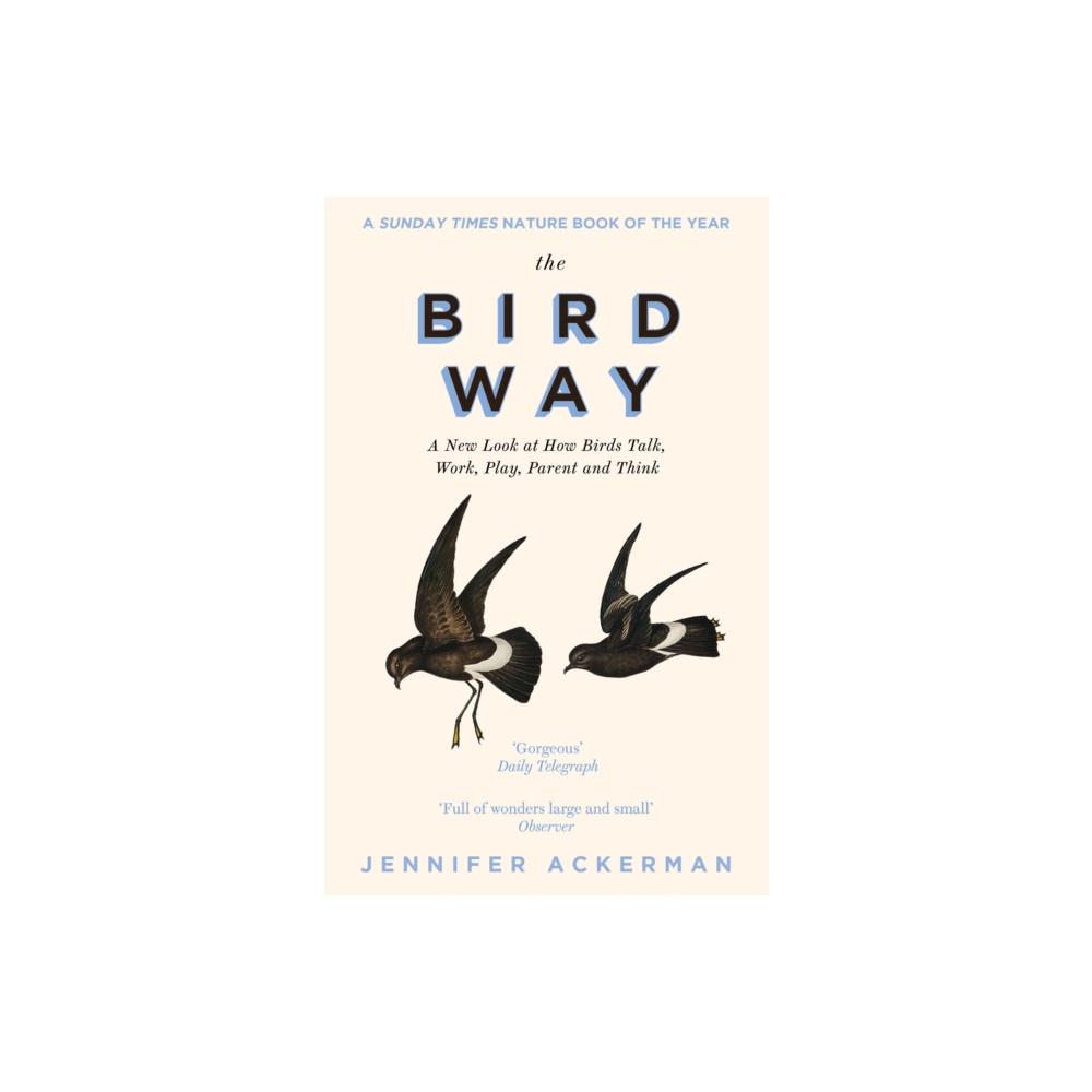 The Bird Way (häftad, english) Little, Brown Book Group