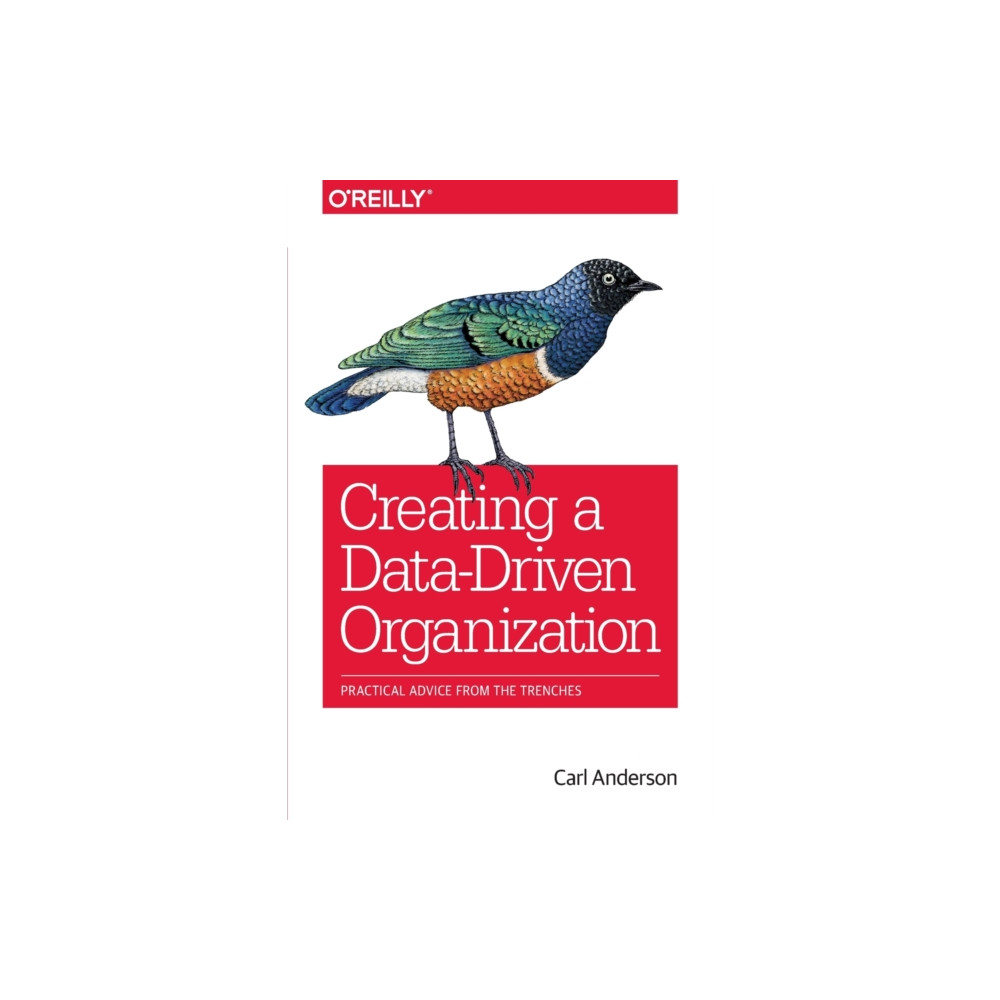 Creating a Data–Driven Organization (häftad, eng)