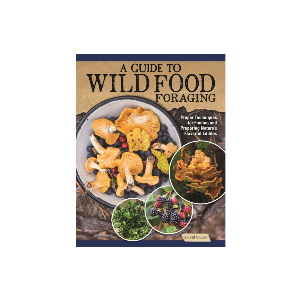 A Guide to Wild Food Foraging (häftad, english) IMM Lifestyle Books