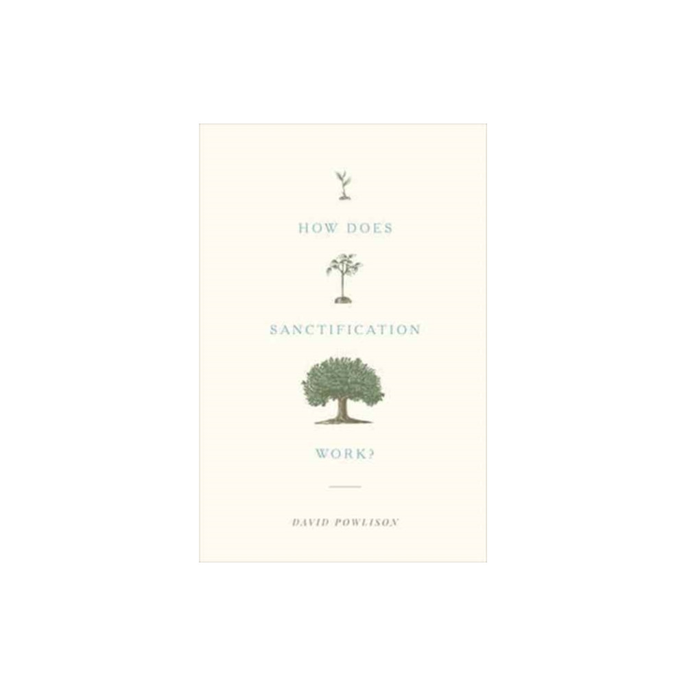 How Does Sanctification Work? (häftad, english) Crossway Books