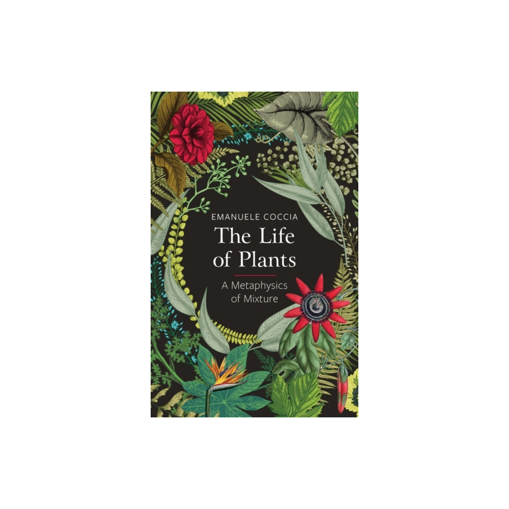 The Life of Plants (häftad, english) John Wiley And Sons Ltd