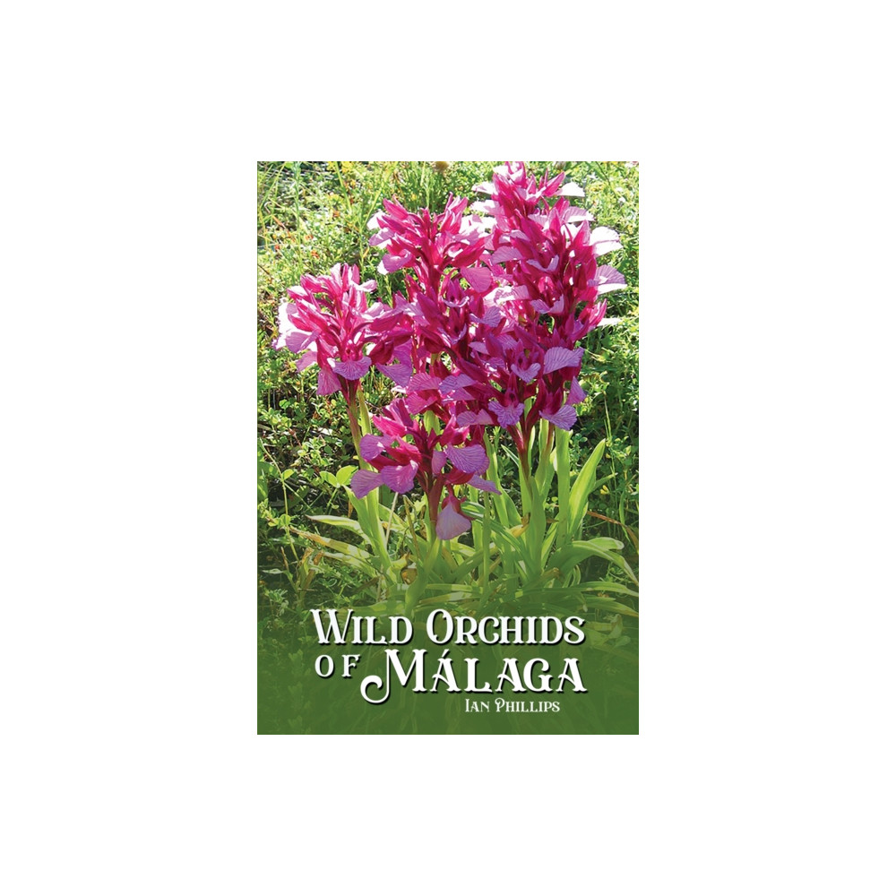 Wild Orchids of Malaga (häftad, english) Austin Macauley Publishers