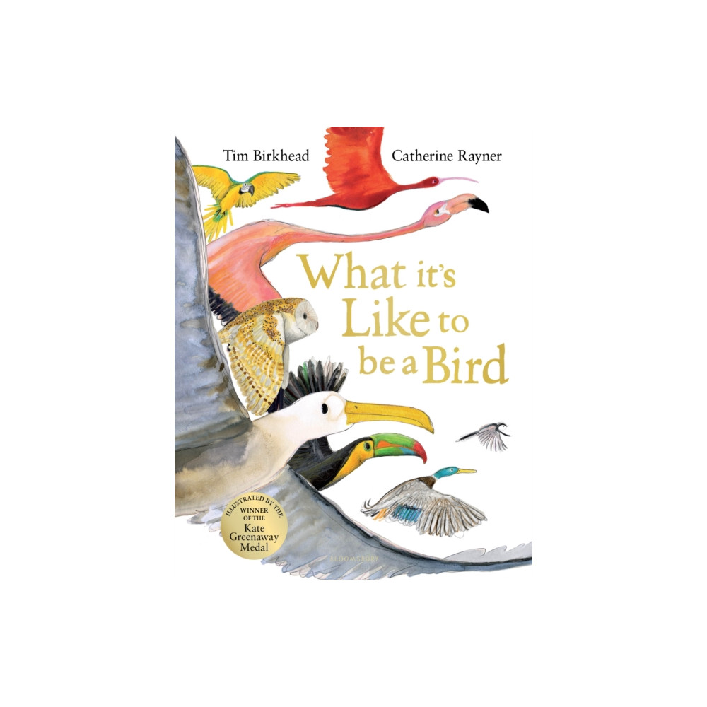 What it's Like to be a Bird (inbunden, english) Bloomsbury Publishing PLC