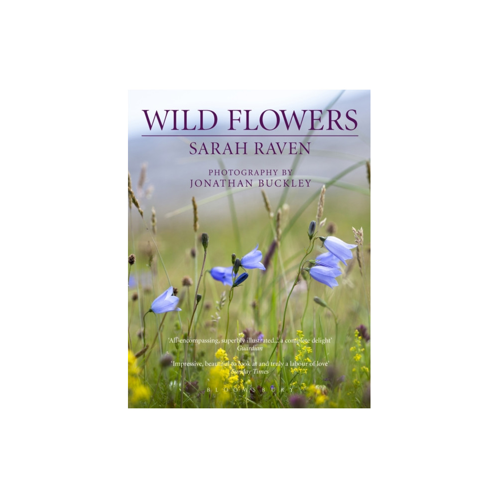 Sarah Raven's Wild Flowers (häftad, english) Bloomsbury Publishing PLC