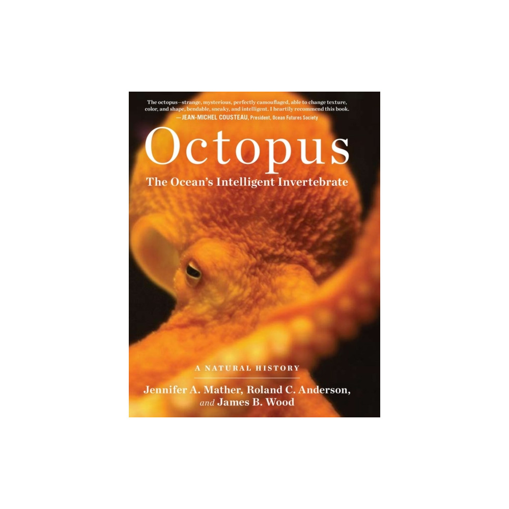 Octopus (inbunden, english) Workman Publishing