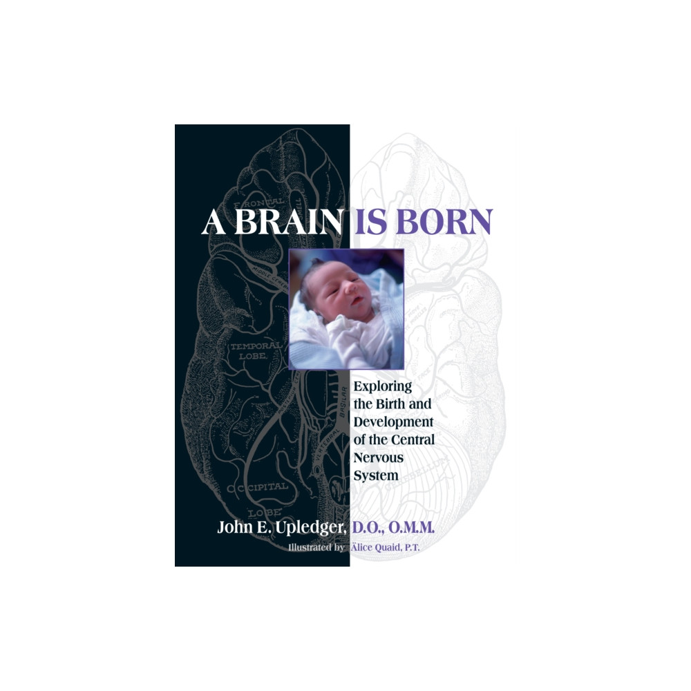A Brain Is Born (häftad, english) North Atlantic Books,U.S.