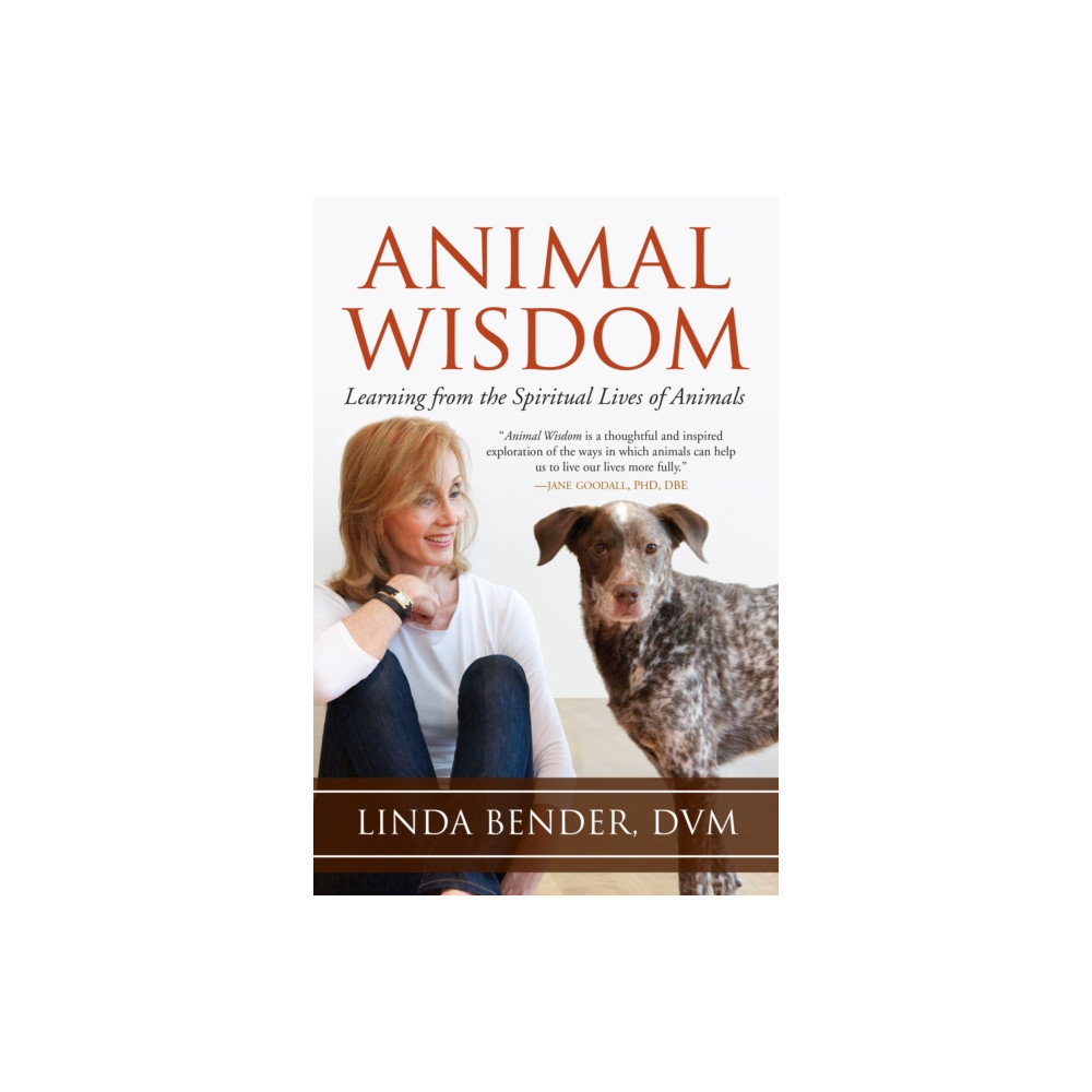 Animal Wisdom (häftad, english) North Atlantic Books,U.S.