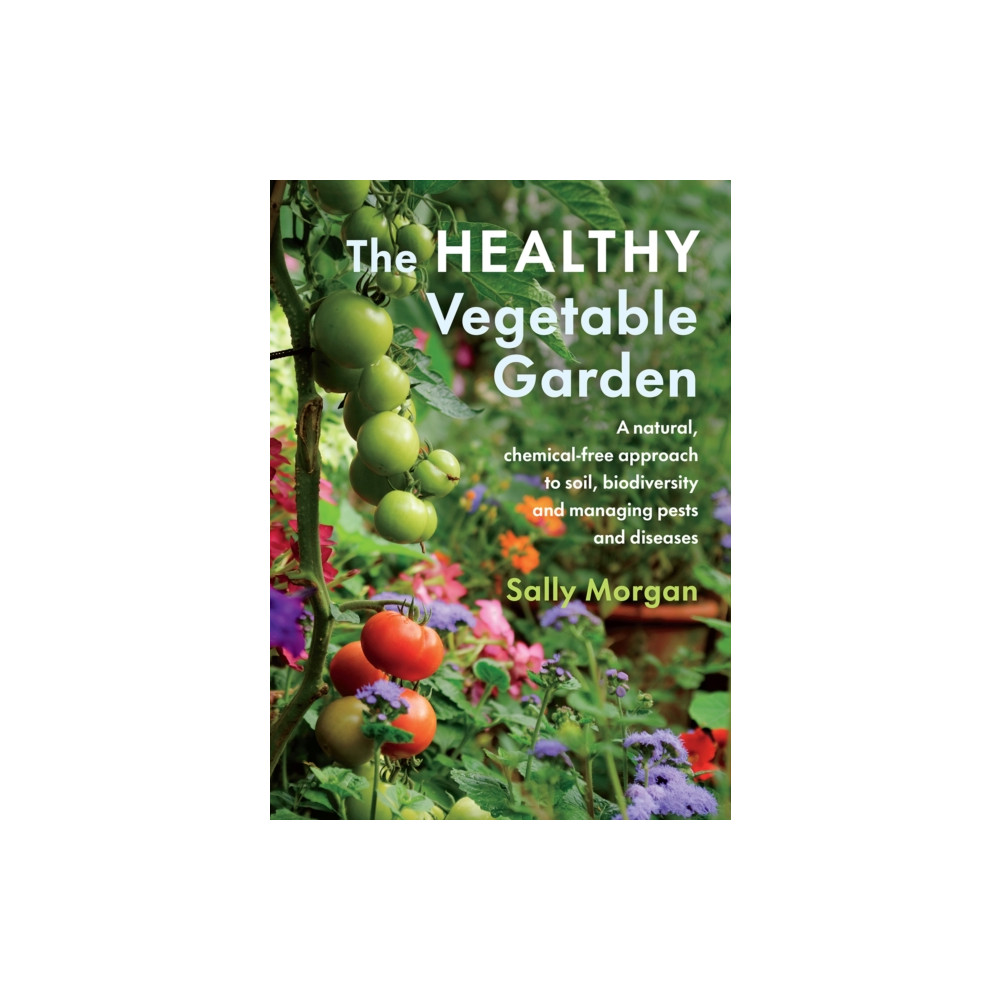 The Healthy Vegetable Garden (häftad, english) Chelsea Green Publishing Co