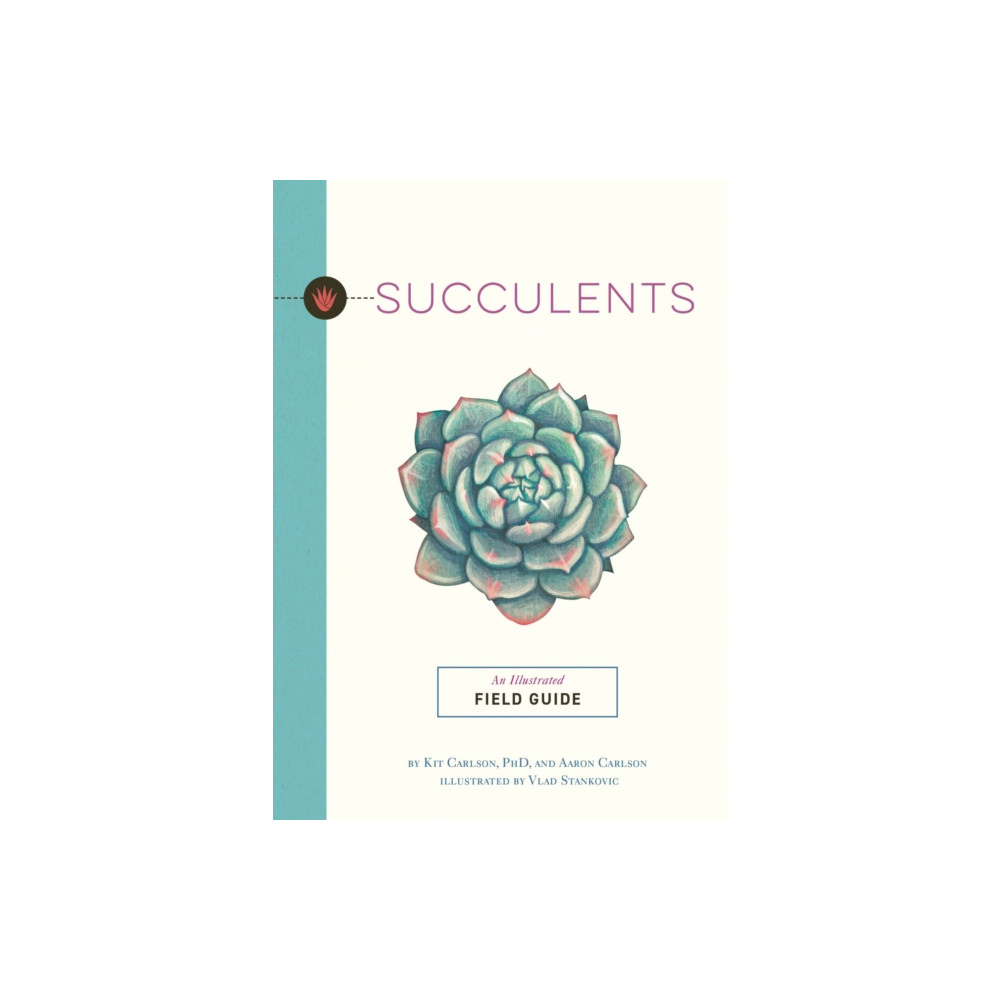 Succulents (häftad, english) HarperCollins Focus