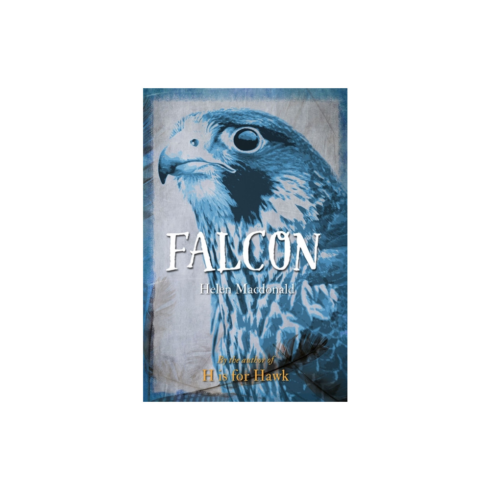 Falcon (häftad, eng)