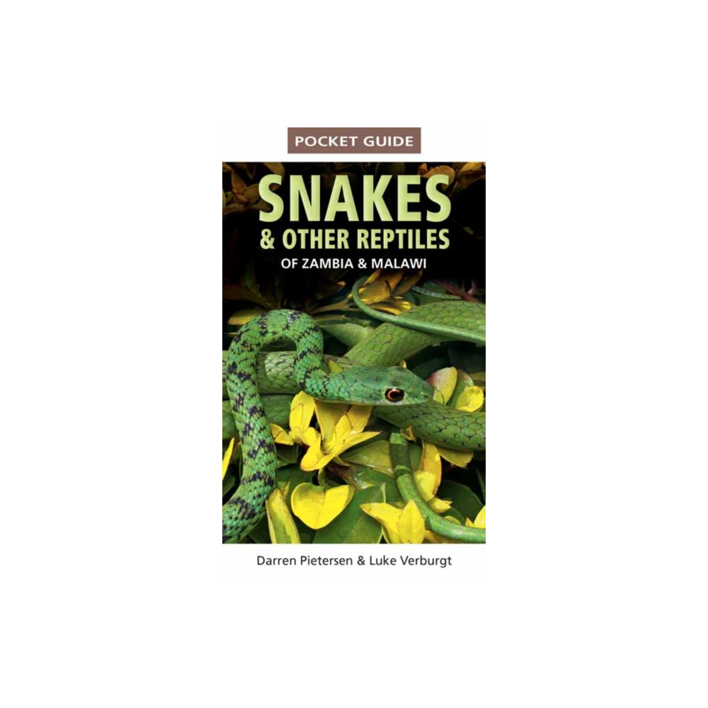 Pocket Guide to Snakes & Other Reptiles of Zambia and Malawi (häftad, english) Penguin Random House South Africa