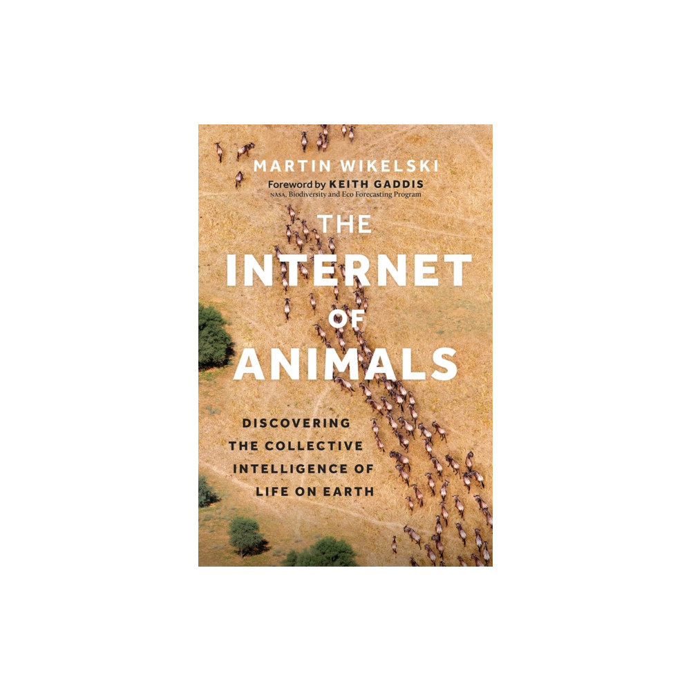 The Internet of Animals (inbunden, eng)