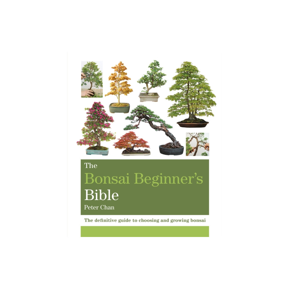 The Bonsai Beginner's Bible (häftad, english) Octopus publishing group