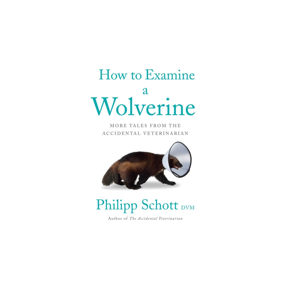 How To Examine A Wolverine (häftad, english) ECW Press,Canada