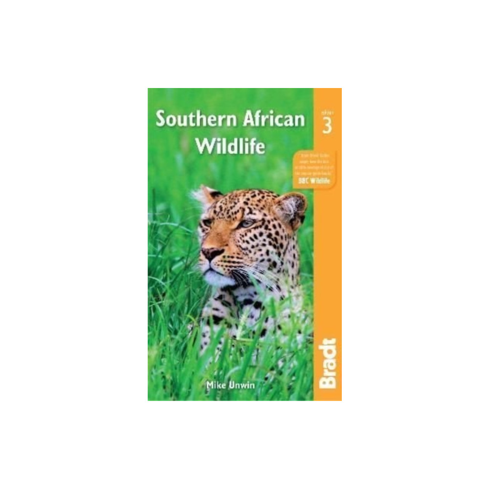 Southern African Wildlife (häftad, english) Bradt Travel Guides