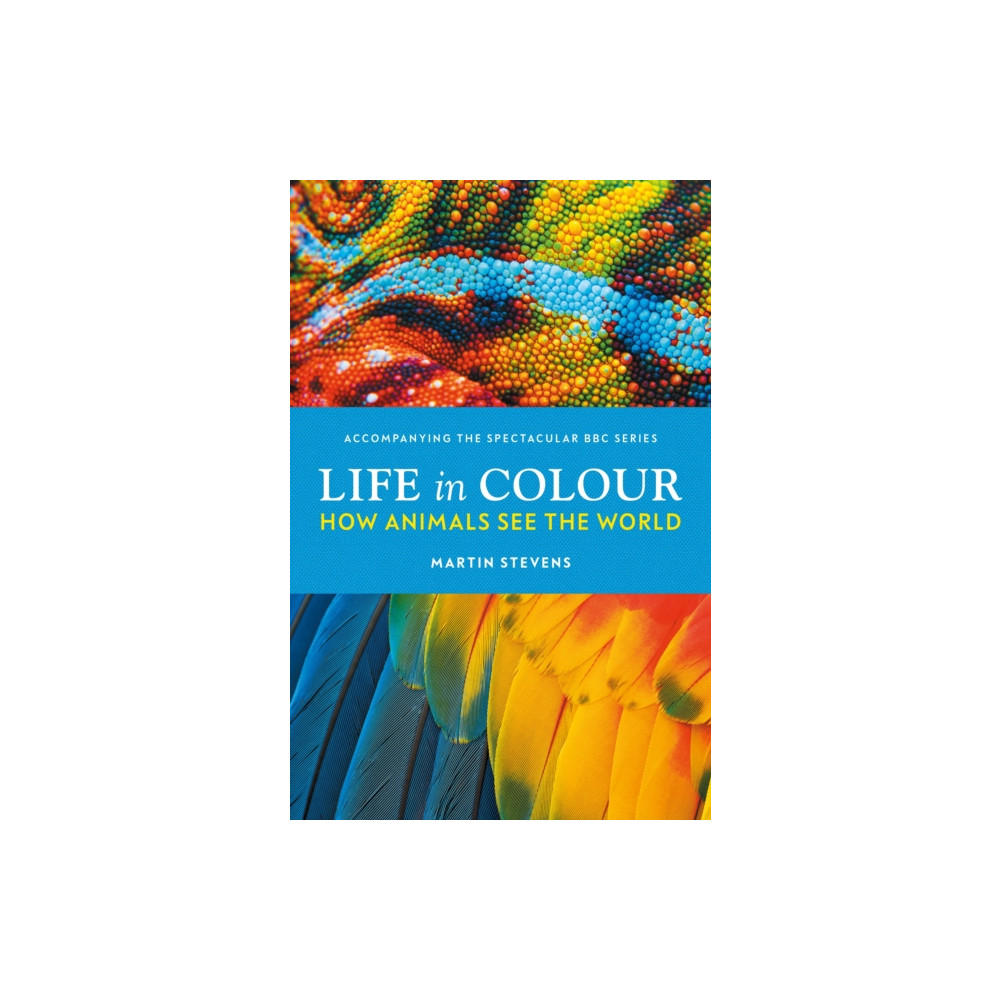 Life in Colour (inbunden, english) Ebury Publishing