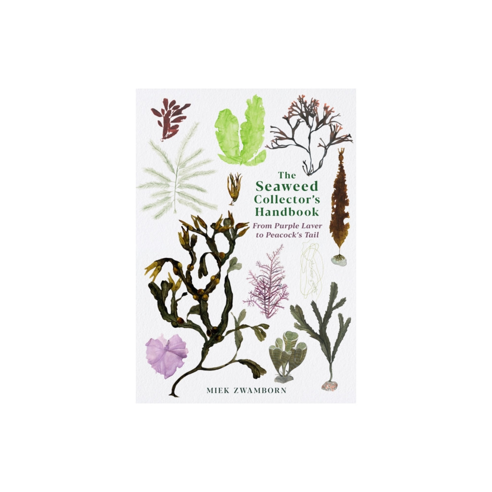 The Seaweed Collector's Handbook (häftad, english) Profile Books Ltd