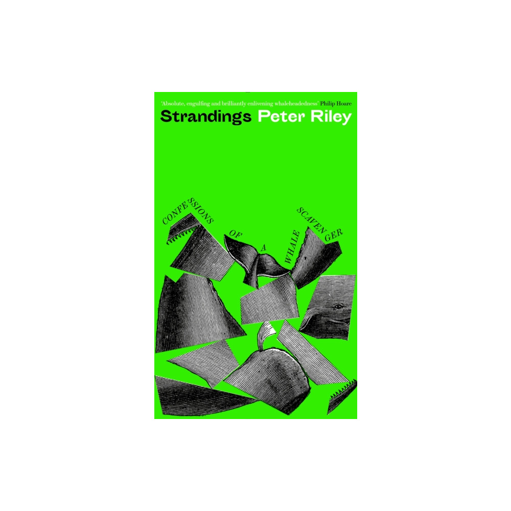 Strandings (inbunden, english) Profile Books Ltd