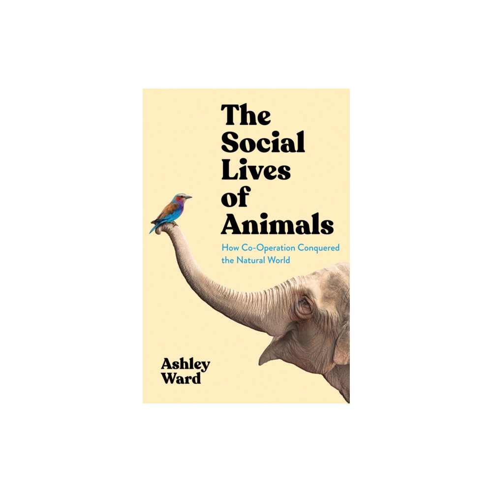 The Social Lives of Animals (inbunden, english) Profile Books Ltd