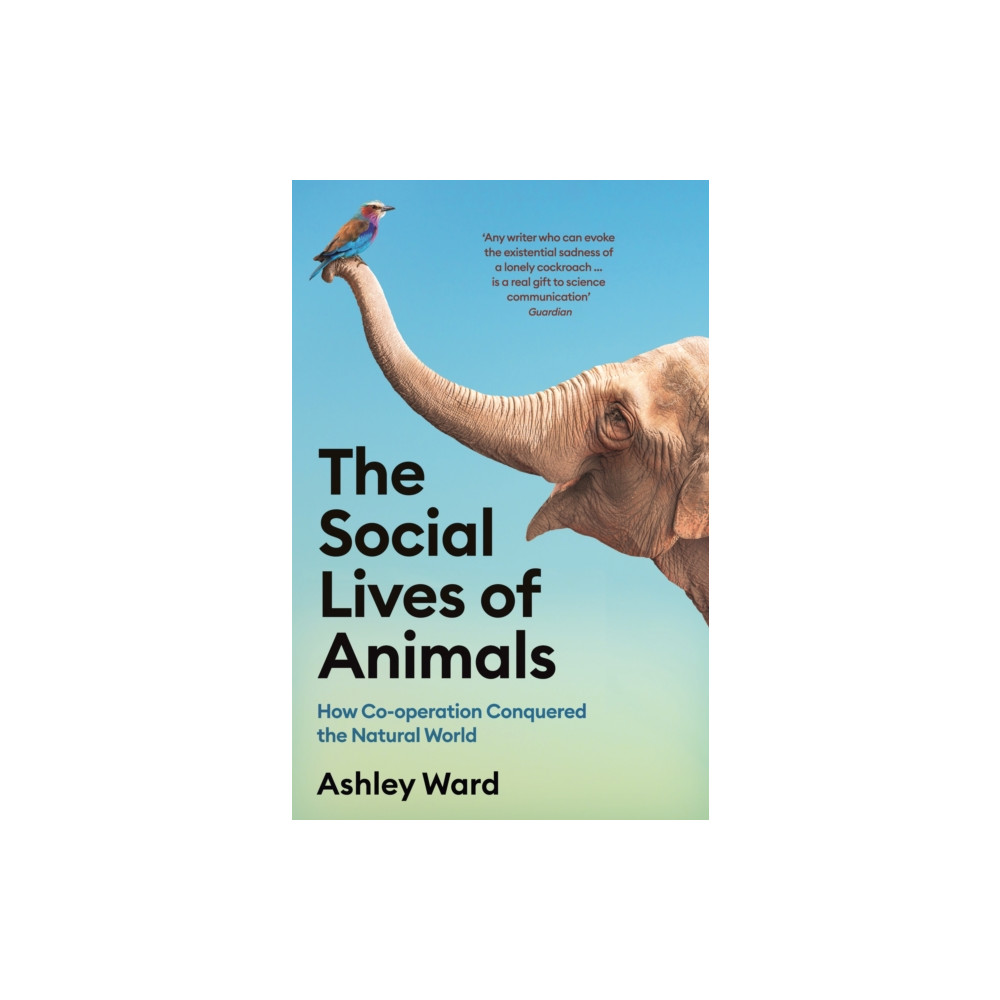 The Social Lives of Animals (häftad, english) Profile Books Ltd