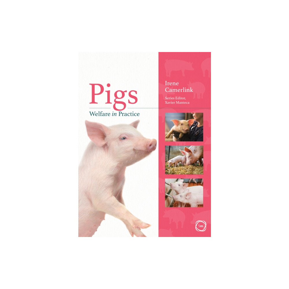 Pigs Welfare in Practice (häftad, english) 5M Books Ltd
