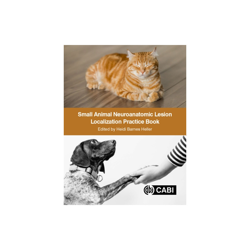 Small Animal Neuroanatomic Lesion Localization Practice Book (häftad, eng)