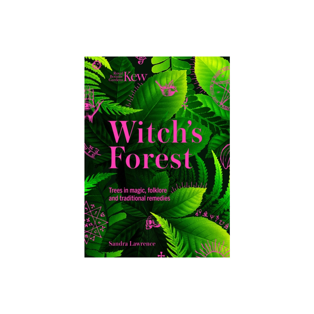 Kew - Witch's Forest (inbunden, english) Headline Publishing Group