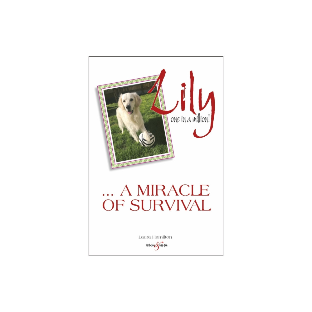 Lily: one in a million (häftad, english) David & Charles