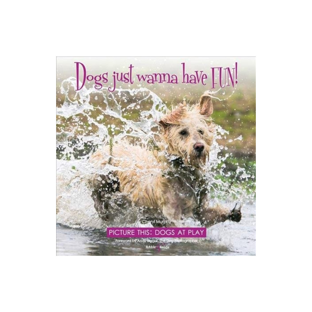 Dogs just wanna have FUN! (inbunden, english) David & Charles