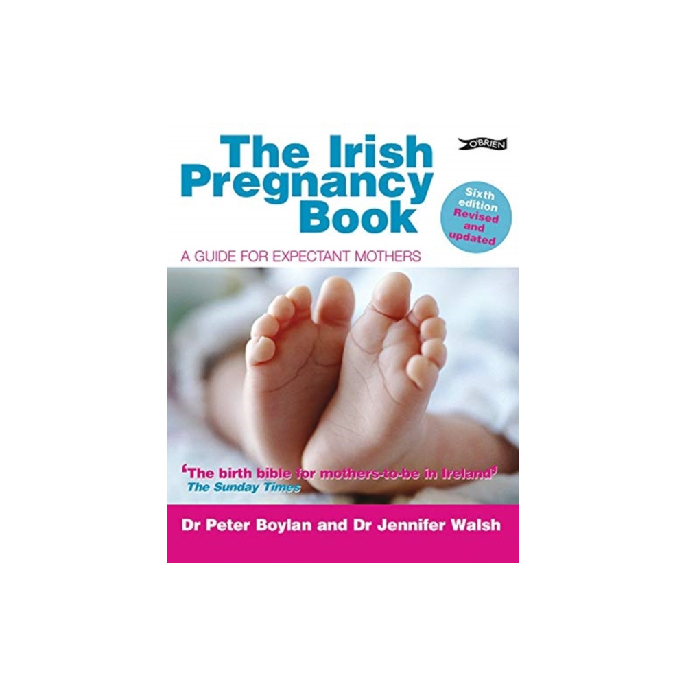 The Irish Pregnancy Book (häftad, english) O'Brien Press Ltd