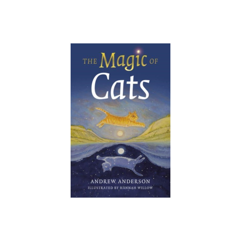 Magic of Cats, The (häftad, english) Collective Ink