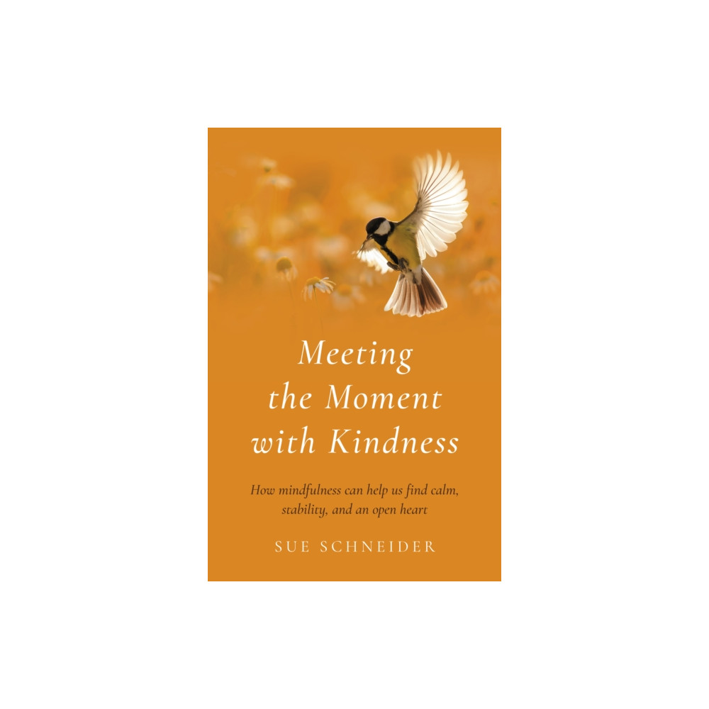 Meeting the Moment with Kindness (häftad, english) Collective Ink