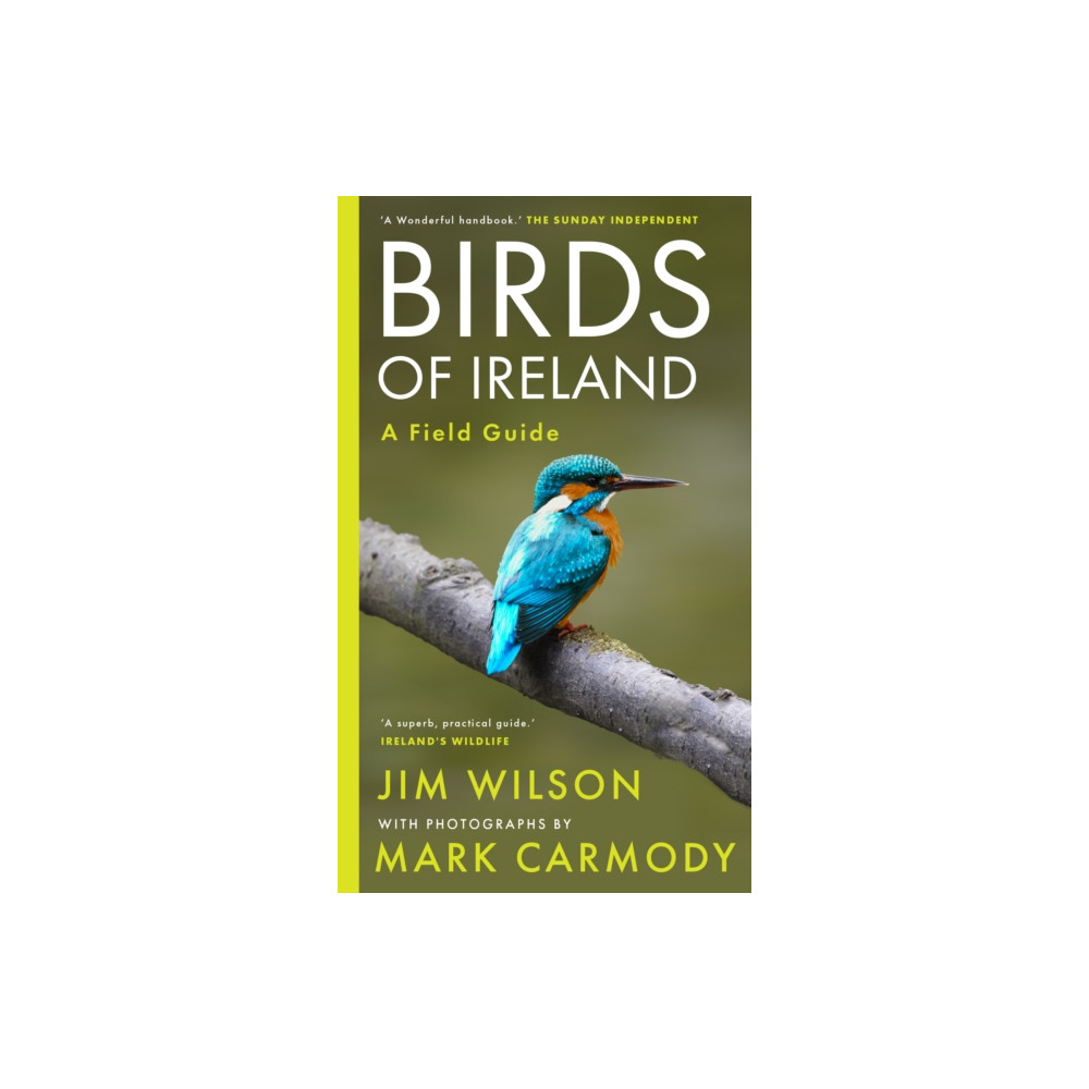 Birds of Ireland (häftad, english) Gill