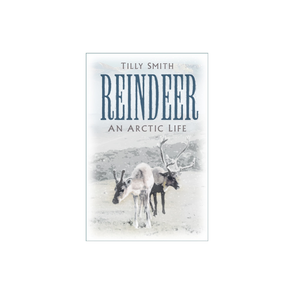 Reindeer (häftad, english) The History Press Ltd