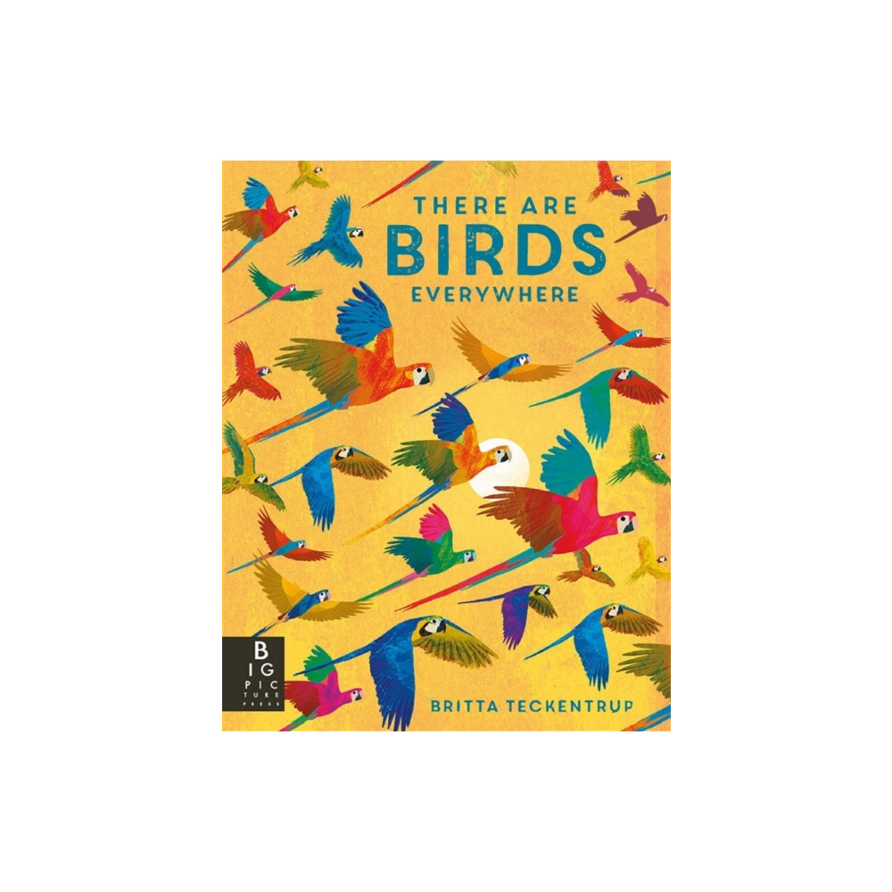 There are Birds Everywhere (häftad, eng)