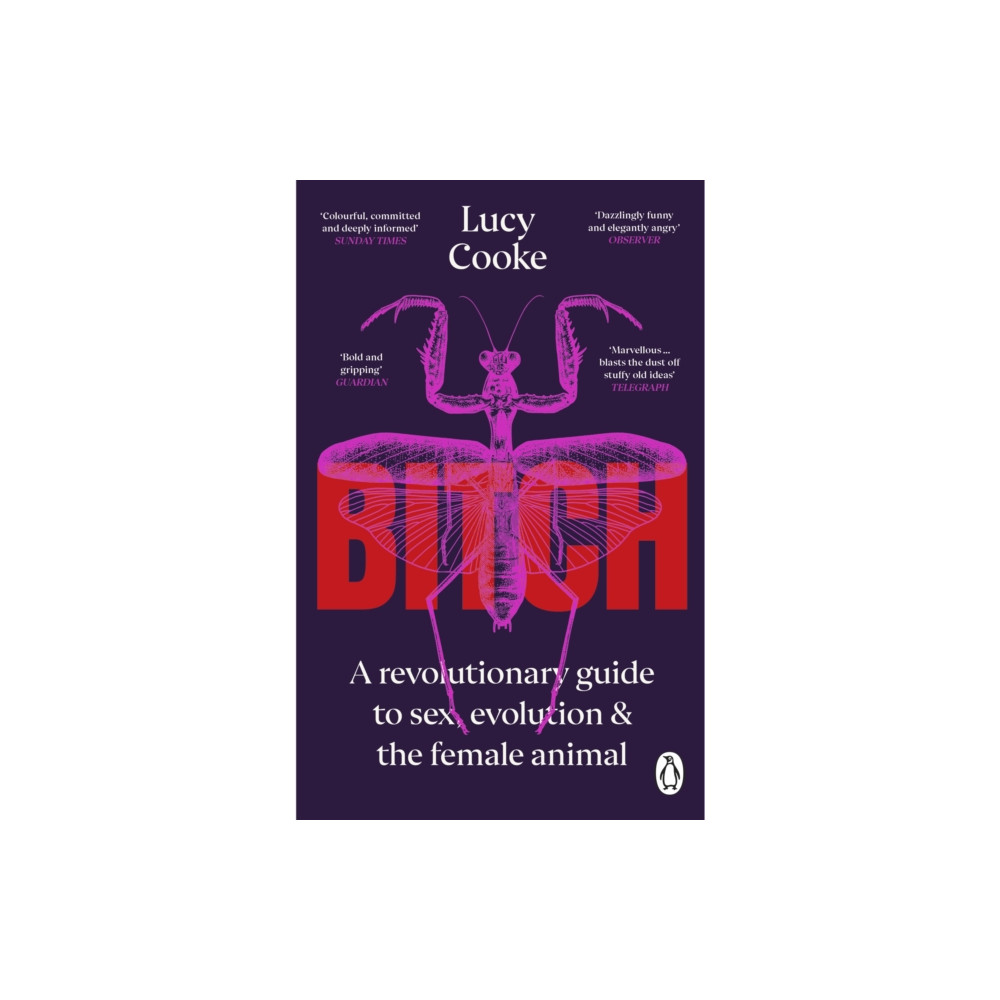 Bitch (häftad, english) Transworld publishers ltd