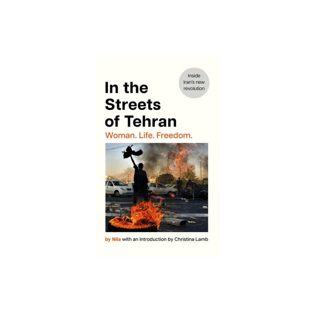 In the Streets of Tehran (inbunden, english) Bonnier Books Ltd