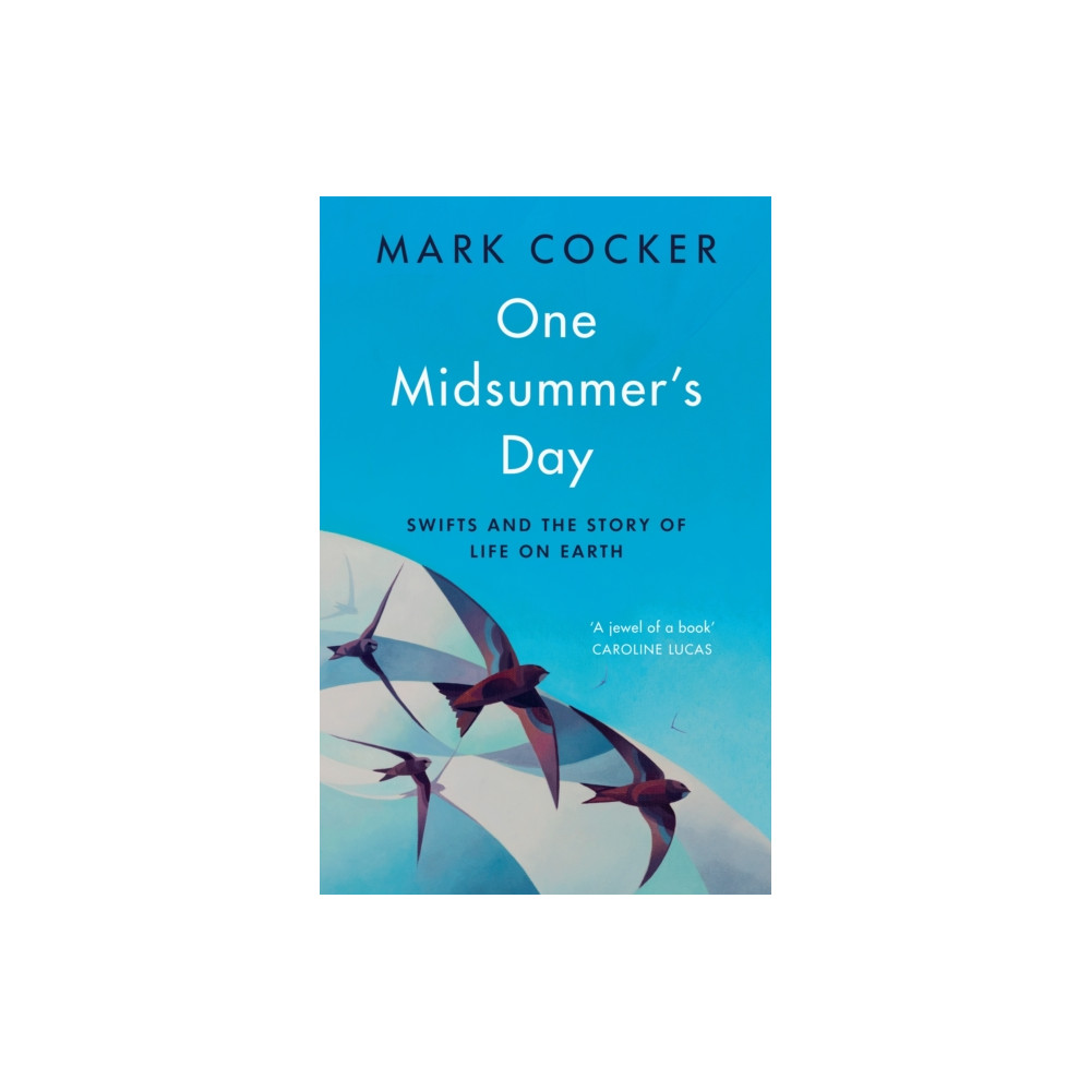 One Midsummer's Day (inbunden, english) Vintage Publishing