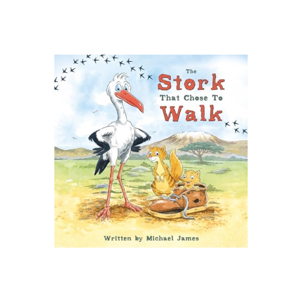 The Stork That Chose to Walk (inbunden, english) Troubador Publishing