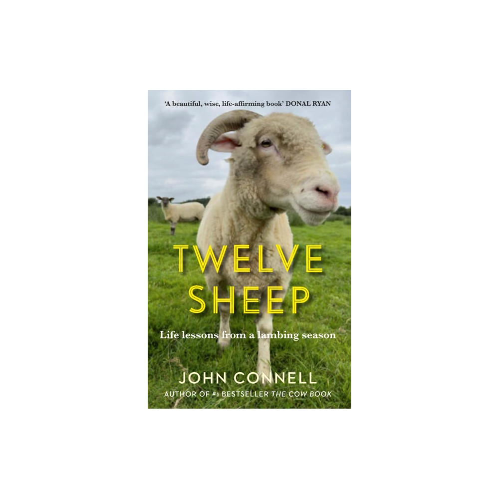 Twelve Sheep (inbunden, eng)