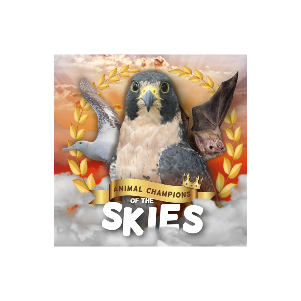 Skies (inbunden, english) BookLife Publishing
