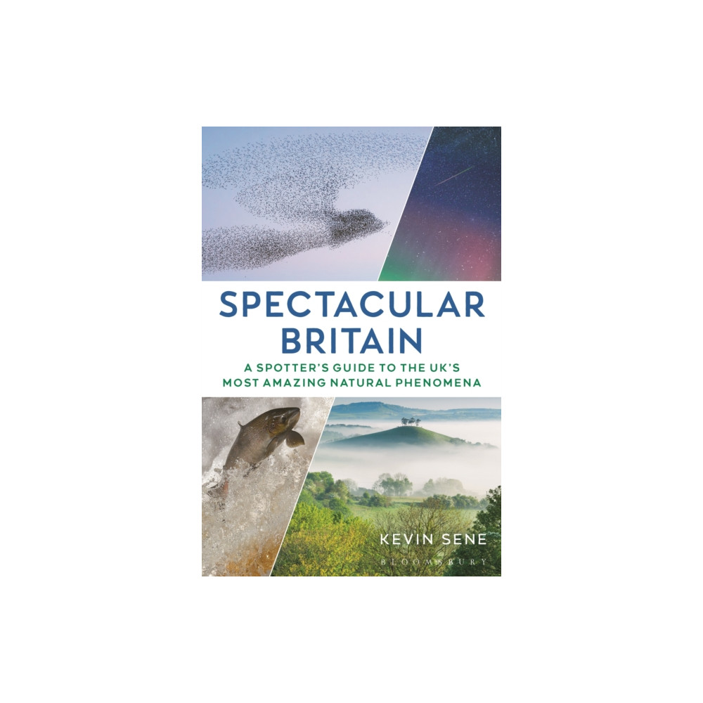 Spectacular Britain (häftad, eng)