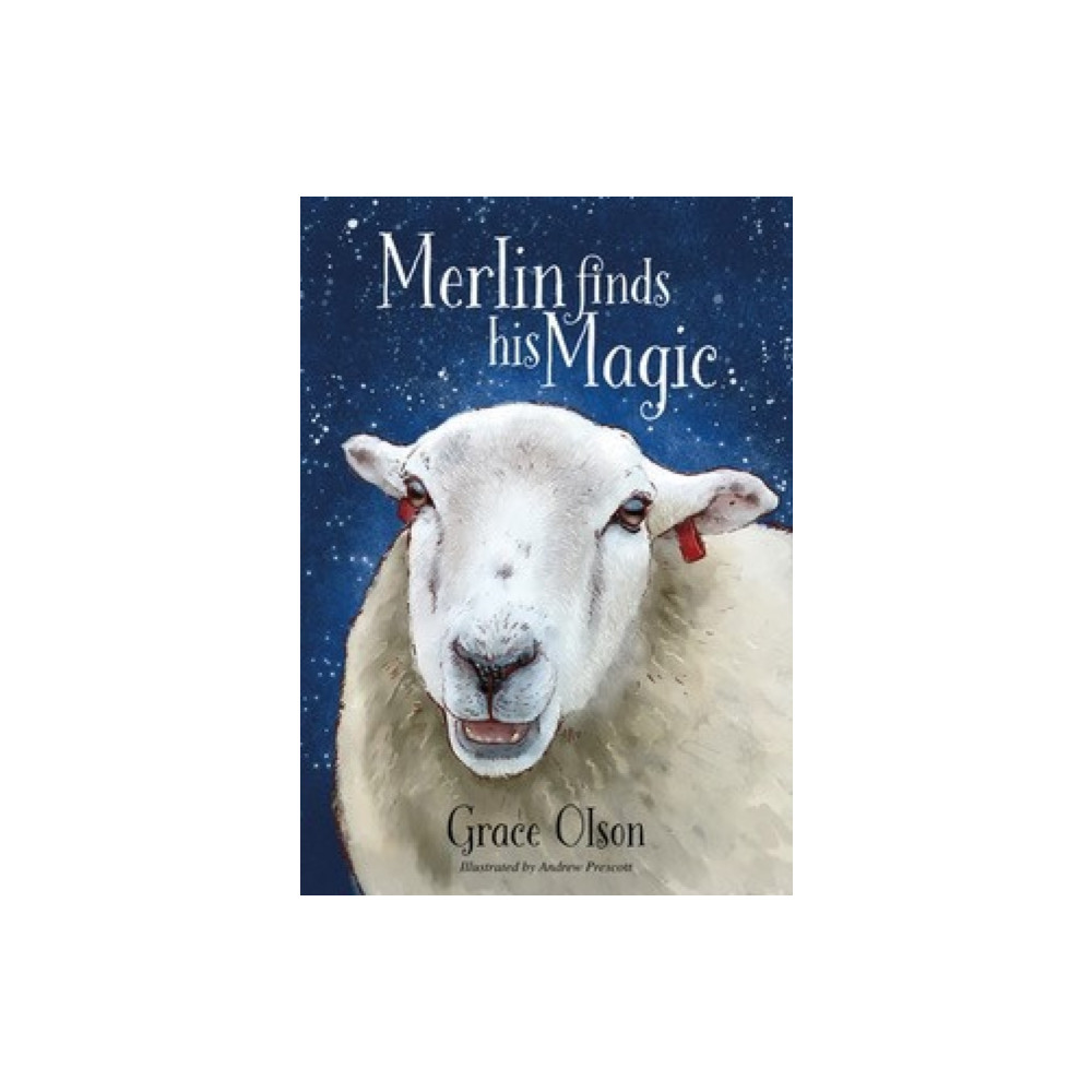 Merlin finds his Magic (häftad, english) The Self-Publishing Partnership Ltd