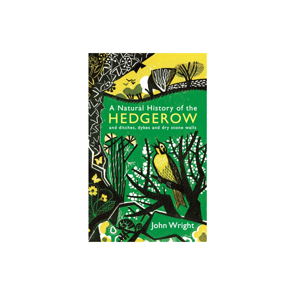 A Natural History of the Hedgerow (häftad, english) Profile Books Ltd