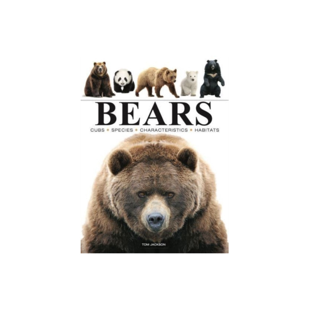 Bears (häftad, eng)