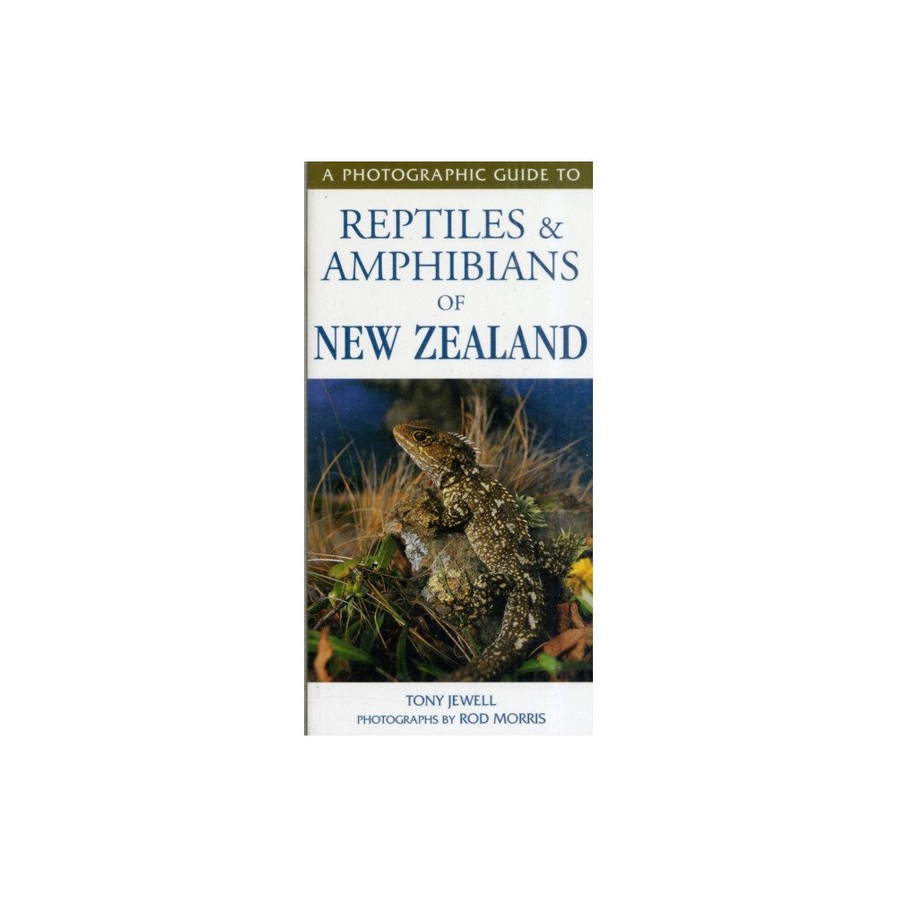 Photographic Guide To Reptiles & Amphibians Of New Zealand (häftad, english) Upstart Press Ltd