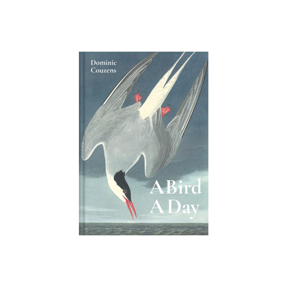 A Bird A Day (inbunden, eng)