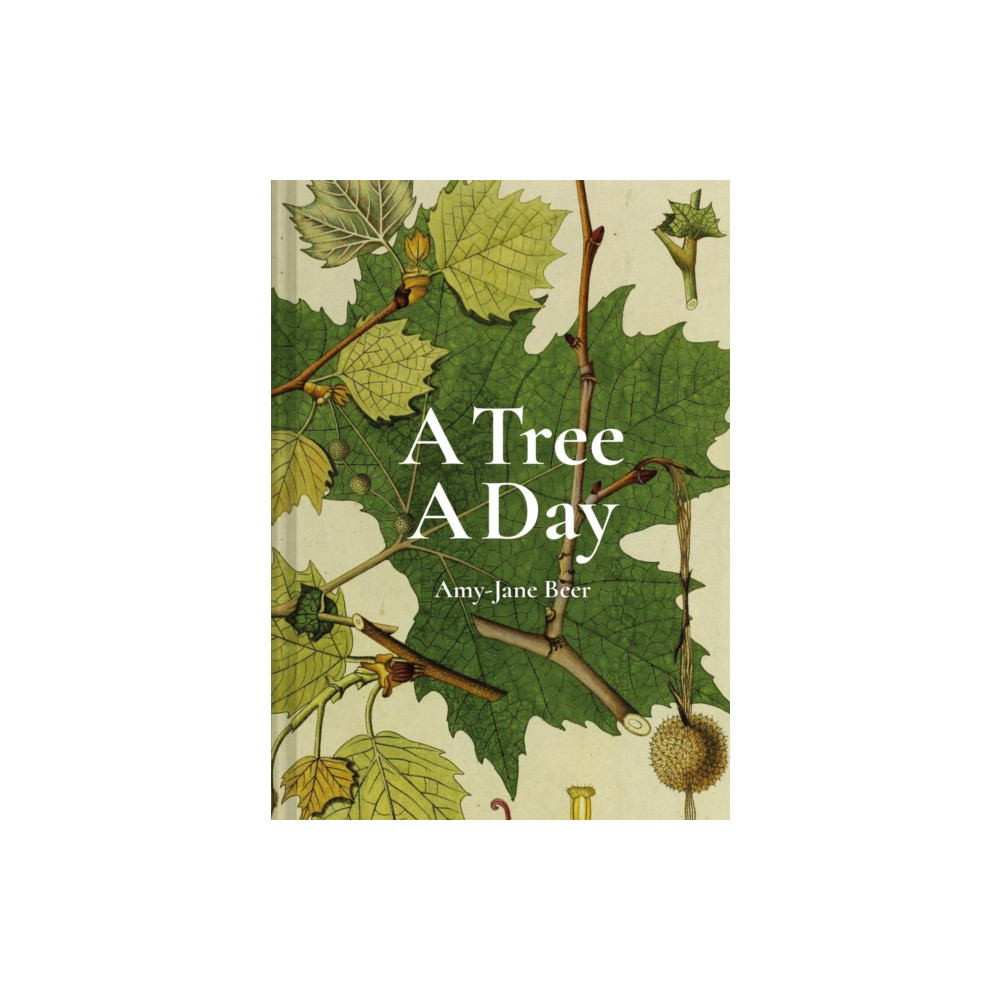 A Tree A Day (inbunden, eng)